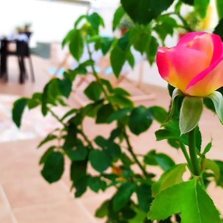 Dimora Storica A Canosa Di Puglia Ngoại thất bức ảnh